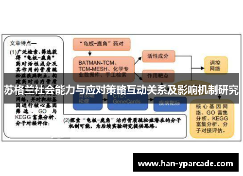 苏格兰社会能力与应对策略互动关系及影响机制研究