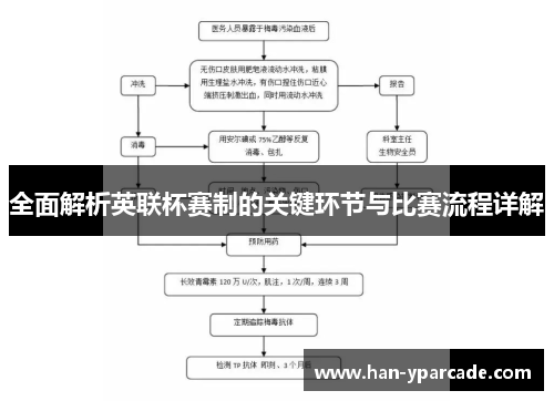 全面解析英联杯赛制的关键环节与比赛流程详解