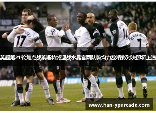 英超第21轮焦点战莱斯特城迎战水晶宫两队势均力敌精彩对决即将上演