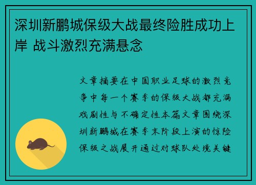 深圳新鹏城保级大战最终险胜成功上岸 战斗激烈充满悬念 深圳新鹏城保级大战最终险胜成功上岸 战斗激烈充满悬念