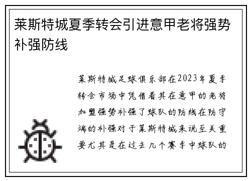 莱斯特城夏季转会引进意甲老将强势补强防线