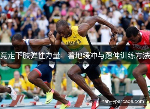 竞走下肢弹性力量:着地缓冲与蹬伸训练方法 竞走下肢弹性力量:着地缓冲与蹬伸训练方法